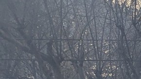 Sonia mira los escombros de lo que fue su hogar en Altadena, California.