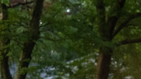 Los agentes de ICE no siempre van bien identificados, pueden ser de HSI, ERO o solamente 'Police'.