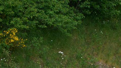 Un Panzerhaubitze 2000 holandés en una autopista alemana, camino de Ucrania.