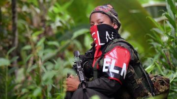 "El ELN es hoy un ejército binacional y un instrumento clarísimo de Venezuela para influir en Colombia"