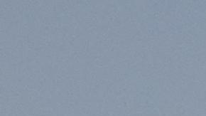 Trump, abierto a que Musk compre TikTok si lo desea