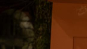 Doce muertos y cuatro heridos en tiroteo en Montenegro