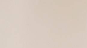 Los fósiles descubiertos corresponden a la especie llamada "Ahvaytum bahndooiveche", convertido en el dinosaurio más antiguo de América del Norte.