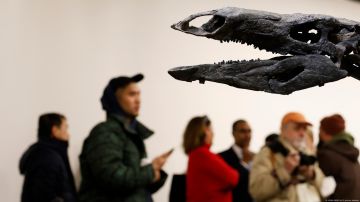 Los fósiles descubiertos corresponden a la especie llamada "Ahvaytum bahndooiveche", convertido en el dinosaurio más antiguo de América del Norte.