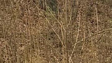 Rusia ataca masivamente infraestructura energética ucraniana