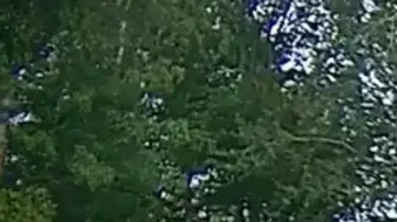 La cámara Ring capturó el momento exacto en que el meteorito impactó contra el suelo, registrando también su sonido característico.