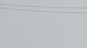 Más 900 camiones de ayuda humanitaria entraron a Gaza