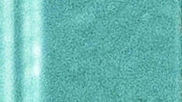 Dua Lipa, Callum Turner