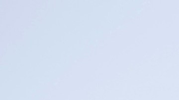 Se estima que el 40% de los trabajadores agrícolas son indocumentados.