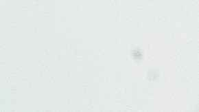 Los usuarios de Netflix ahora podrán descargar temporadas completas de sus series favoritas con tan solo pulsar un botón