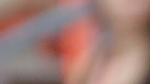 Houston Dynamo midfielder Adalberto Carrasquilla during an MLS soccer match against the Portland Timbers Saturday, April 16, 2022, in Houston. (AP Photo/Michael Wyke)