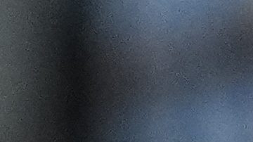 Lionel Scaloni y Leo Messi.