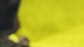 César Huerta abandonó los Pumas por el Anderlecht.