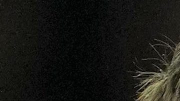 Raúl Jiménez solo marcó 7 goles en su primer año con el Fulham.