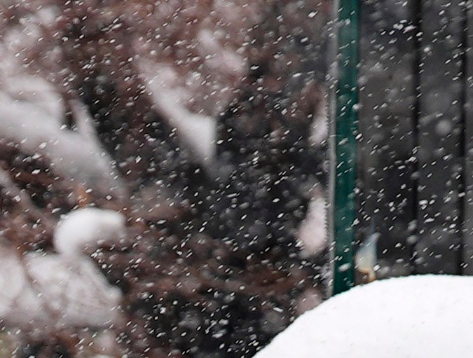 Una gran tormenta invernal se prepara para dar el golpe más fuerte de este invierno en EE.UU.