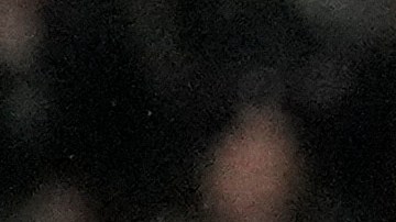 Los Angeles FC midfielder Mateusz Bogusz (19) controls the ball against the Portland Timbers during the first half of an MLS soccer match Saturday, April 27, 2024, in Los Angeles. (AP Photo/Marcio José Sanchez)