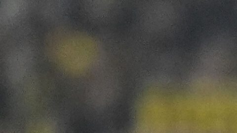 El Barcelona se enfrentará al Benfica.