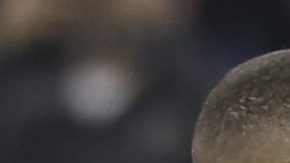 El Real Madrid ha marcado 23 goles en 7 partidos.