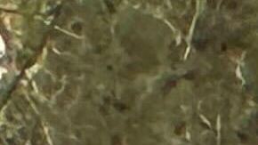 La explosión ocurrió justo frente a las puertas del hotel Trump en Las Vegas. Las autoridades acordonaron el área del fatal incidente.