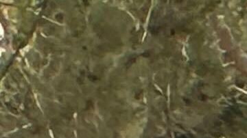 La explosión ocurrió justo frente a las puertas del hotel Trump en Las Vegas. Las autoridades acordonaron el área del fatal incidente.