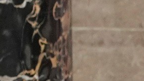 La vicepresidenta Kamala Harris y el presidente de la Cámara, Mike Johnson.