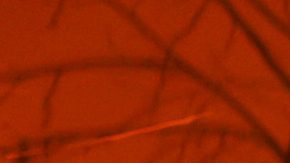 Una persona intenta con una manguera aplacar el fuego en una casa del barrio de Pacific Palisades, en el oeste de Los Ángeles.