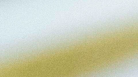 Trump califica de "incompetentes" a políticos a cargo de los incendios en Los Ángeles