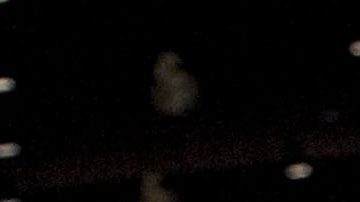 FILE - Vince McMahon stands at Republican state convention in Hartford, Conn., May 18, 2012. (AP Photo/Jessica Hill, File)