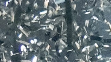 FC Barcelona celebra su primer título en dos años.