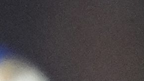 El entrenador Sean McVay, vistiendo una sudadera en honor a los bomberos de Los Ángeles, celebra un touchdown durante el triunfo de los Rams contra Minnesota en los playoffs de la NFL.