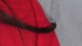 Biden firmó dos proclamaciones que protegen vastos terrenos en California.