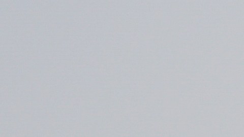 El incidente ocurrió alrededor de las 9:30 am del lunes e involucró a un vehículo de la línea aérea