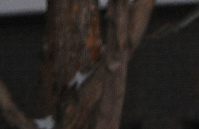 Autoridades advierten sobre riesgo en las carreteras