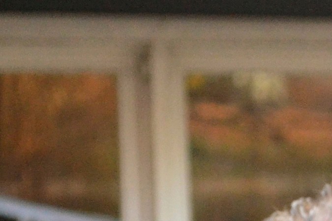 La DEA se organiza con ICE para redadas contra inmigrantes en Chicago