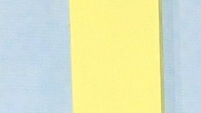 Adal Ramones California