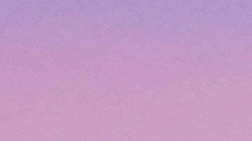 La azafata abrió una cuenta en GoFundMe para sostenerse mientras encuentra un nuevo empleo.