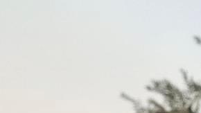 Pacific Palisades (United States), 08/01/2025.- Los Angeles Mayor Karen Bass (2-L front) and California Governor Gavin Newsom (2-R) get a briefing about an area damaged by the Palisades wildfire in the Pacific Palisades neighborhood of Los Angeles, California, USA, 08 January 2025. According to data from California Department of Forestry and Fire Protection, CAL FIRE, multiple wildfires are burning across thousands of acres and forced tens of thousands of evacuations in the Los Angeles area. (incendio forestal) EFE/EPA/ALLISON DINNER