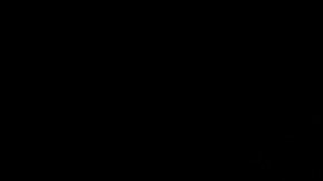 Tras el incremento de precios, la suscripción más económica de Amazon Music Unlimited tendrá un precio de $9.99 dólares mensuales