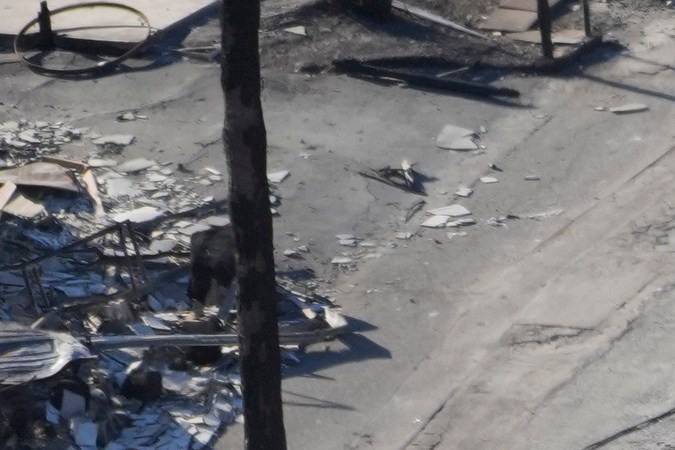 The Pacific Palisades Bowl Mobile Estates destroyed by the Palisades Fire is seen in the Pacific Palisades neighborhood of Los Angeles, Thursday, Jan. 16, 2025. (AP Photo/Damian Dovarganes)