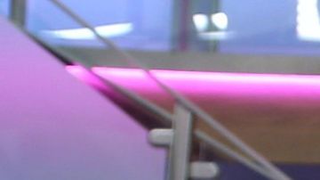 Angelique Boyer Sebastián Rulli