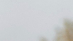 El exlíder de los Proud Boys, Enrique Tarrio, solicita indulto a Donald Trump