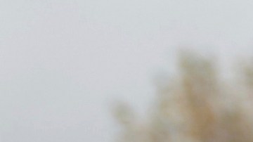 El exlíder de los Proud Boys, Enrique Tarrio, solicita indulto a Donald Trump