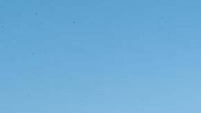 Inmigrantes de camino a su deportación vía área