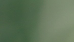 Ayuda de discapacidad en California