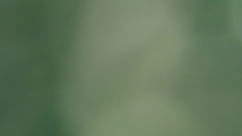 Ayuda de discapacidad en California