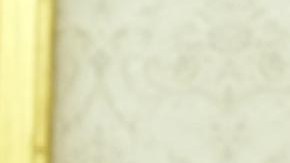 Joe Biden, presidente estadounidense