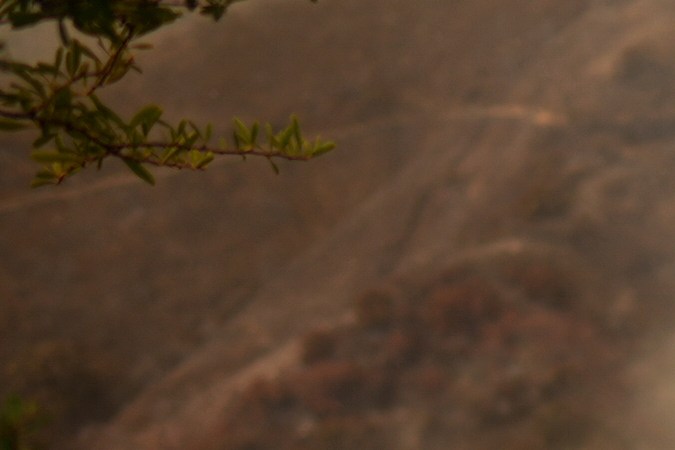 A firefighter sets up a hose while fighting the Palisades Fire in Mandeville Canyon Saturday, Jan. 11, 2025, in Los Angeles. (AP Photo/Eric Thayer)