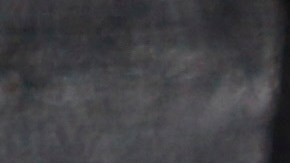 Search and rescue crews from Mexico inspect a mobile home park destroyed by the Palisades Fire in Palisades, Calif., Wednesday, Jan. 15, 2025. (AP Photo/Ty ONeil)