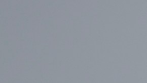 Avelo y Breeze sumarán más vuelos en Estados Unidos este año: los detalles