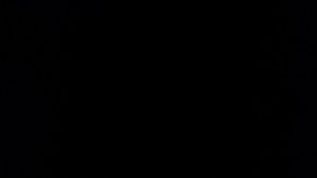 Trump y Bukele pactan trabajar juntos contra migración irregular y organizaciones criminales